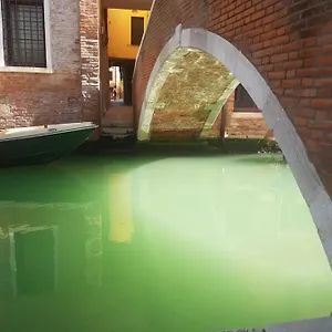 The Secret Garden In The Very Heart Of Venezia